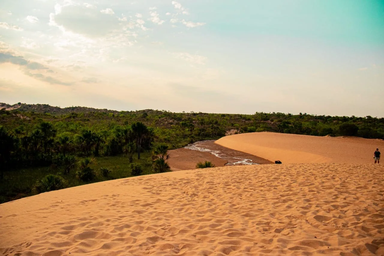 Dunas