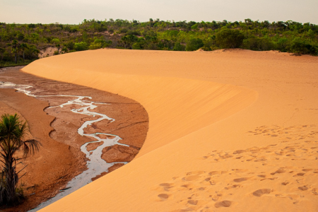 Dunas douradas